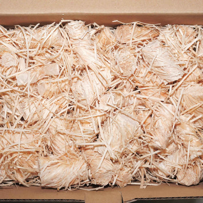Wood firelighters 200pcs