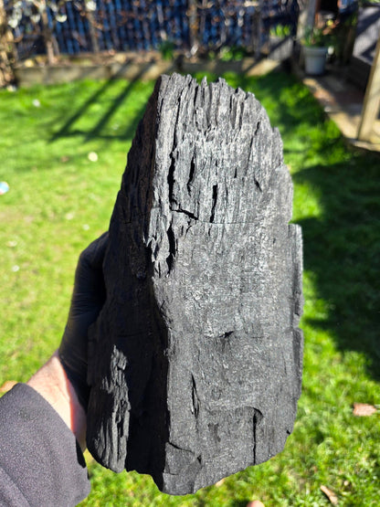 Berkenhoutskool 10 kg